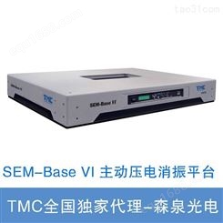 TMC SEM的主动压电消振SEM-Base VI 地面式隔振平台，用于扫描电子显微镜