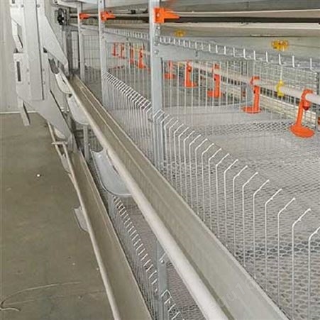 养鸡设备 鸡笼 层叠式鸡笼 阶梯式鸡笼 