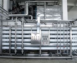 日化用品制造去离子水设备 双极反渗透设备 产品质量好 售后保证
