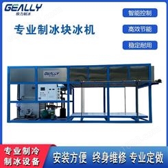 广州全自动块冰机 20吨直冷式块冰机 极力制冷 台式一体式块冰机