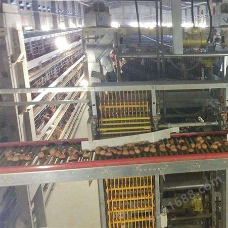 设备供应 鸡笼厂家 提门式蛋鸡笼 三层养鸡笼子肉鸡笼批发