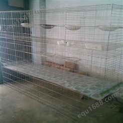 供应加工 3层鸽笼厂家 镀锌肉鸽白鸽养殖笼具 养殖鸽笼