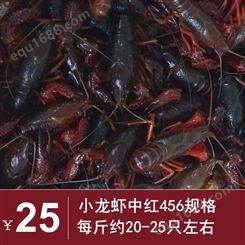 21年10月小龙虾产地批发 中红小龙虾 456规格红虾24元每斤 深圳广州包直达费用