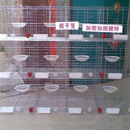 铁丝鸽子笼 加粗1.5米高鸽笼厂家供应