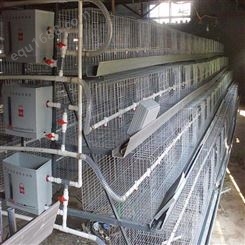 3层蛋鸡笼 广旺阶梯式肉鸡笼 鸡笼价格 养鸡设备 鸡笼工厂出售