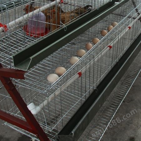 厂家供应 推拉门式鸡笼报价 三层镀锌鸡笼 层叠式养殖笼