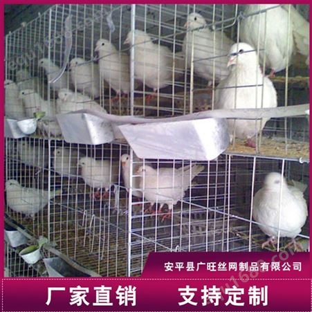 养殖鸽笼_广旺_肉鸽笼_订购经销商