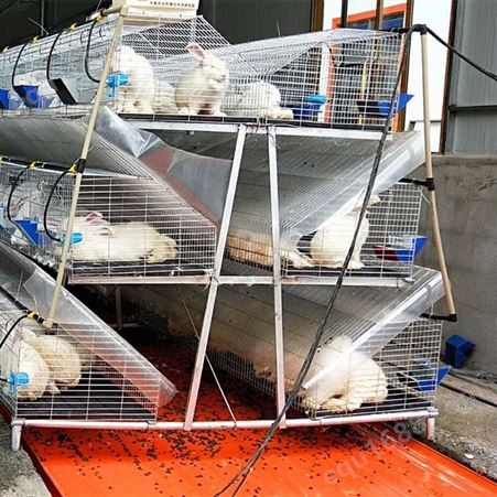 工厂供应 兔笼网片 新型兔子笼 河南种兔笼批发养殖笼具 广旺