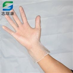广东一次性透明PVC手套 志瑞康