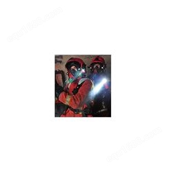 MSA F1XF梅思安消防救援头盔CCCF认证