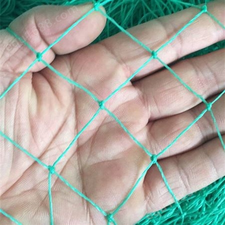 绿色6股家禽养殖网 农业养殖聚乙烯编织绳PE渔网 有结绳网