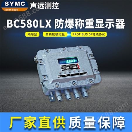 显示器声远BC580LX防爆显示器 高精度仪表 厂家直供 SYMC 防爆仪表