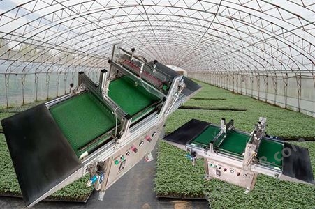 自动蔬菜穴盘育苗播种机 穴盘育苗点种机 取种准确 价格低工厂直接让利客户