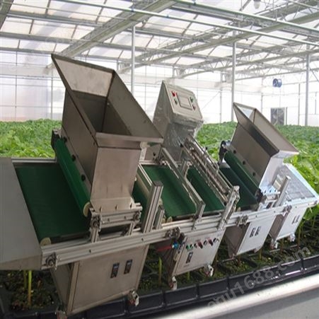 新疆辣椒穴盘育苗播种机 被广泛认可 蔬菜育苗机省工省时产量高