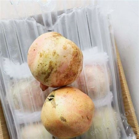 菲鼎大量供应 苹果石榴羊角蜜西瓜气柱袋 可定制运输缓冲包装袋