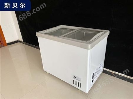 家用小冷柜小型立式 小型立式大容量商用 冷藏冷冻保鲜两用冰柜