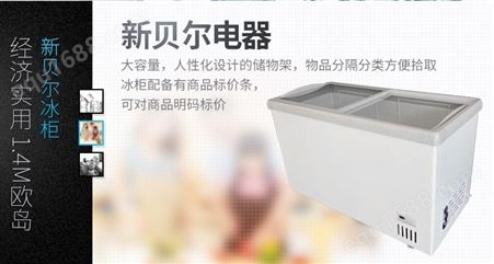 商用冷冻柜 小型冷冻冰柜 鲜肉冰箱冷柜双温