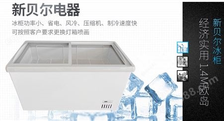商用冷冻柜 小型冷冻冰柜 鲜肉冰箱冷柜双温